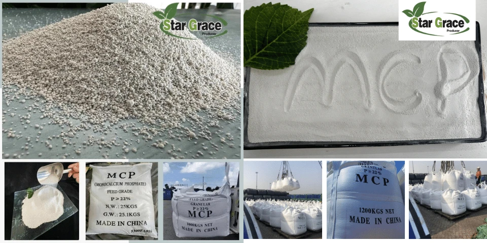product-960-480 product-960-480