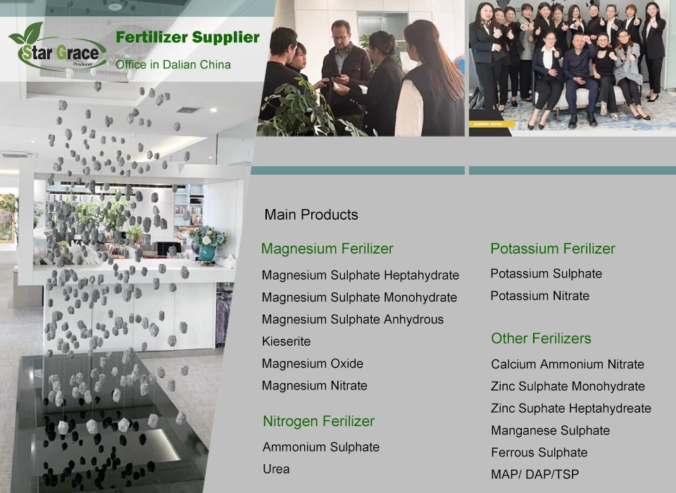 product-960-700 product-960-700
