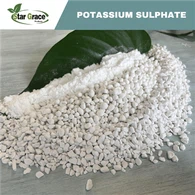 SOP Granular 50%