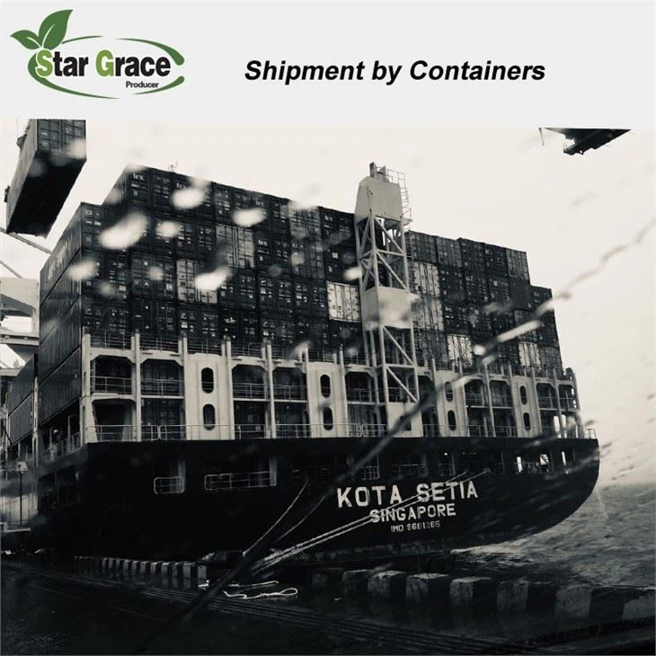 Monohydrate Citric Acid