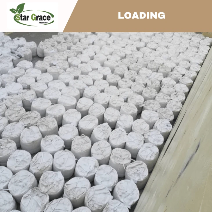 Animal Nutrition L-Lysine Sulphate