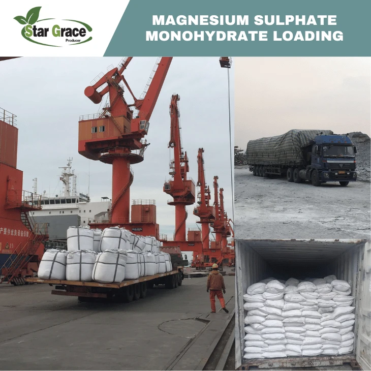 Kieserite Granular 2-5mm