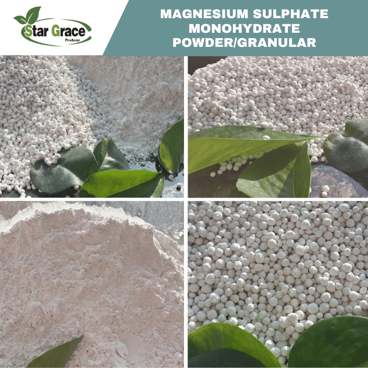 Kieserite Magnesium Sulphate Monohydrate (powder and Granular)