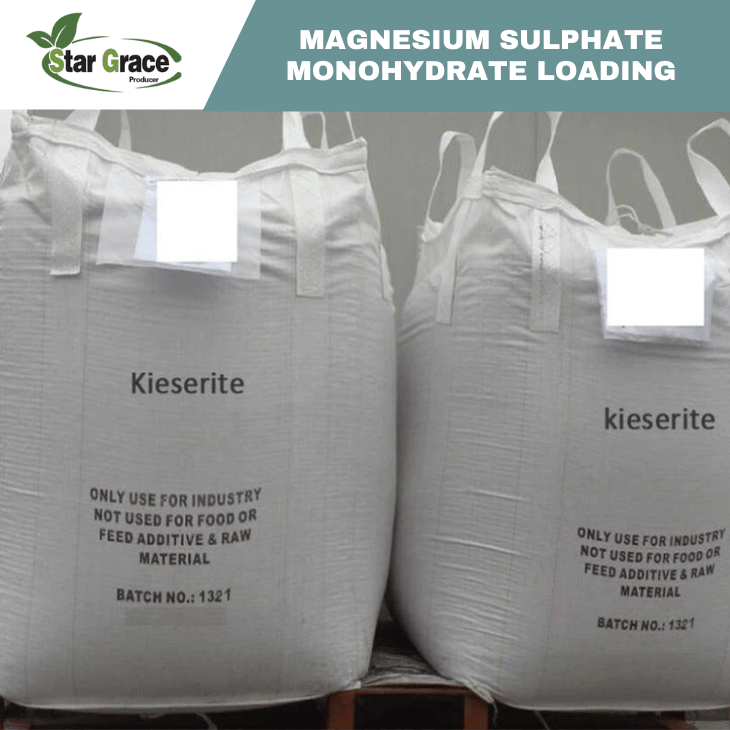 Kieserite Magnesium Sulphate Monohydrate (powder and Granular)