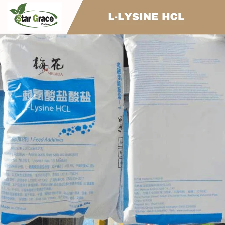 L-Lysine HCL for Chicken