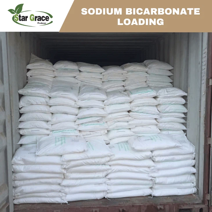 Sodium Bicarbonate Is What