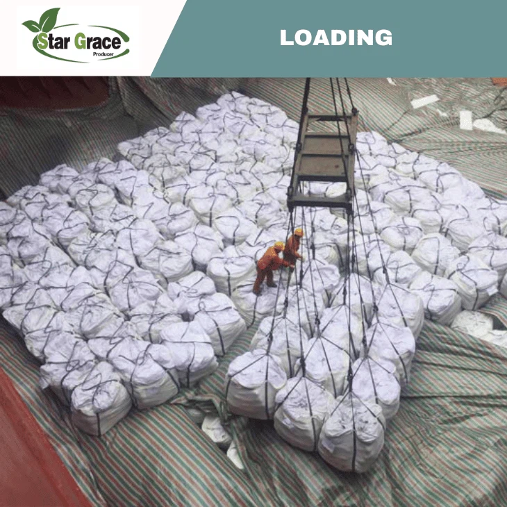 Sulfate De Magnesium Heptahydrate